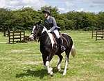 Wanborough Horse and Dog show